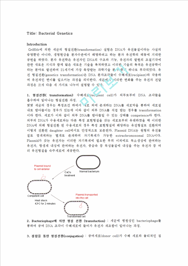 [자연과학] 생물학 실험 - 박테리아 유전 형질전환(genetics transformation).hwp